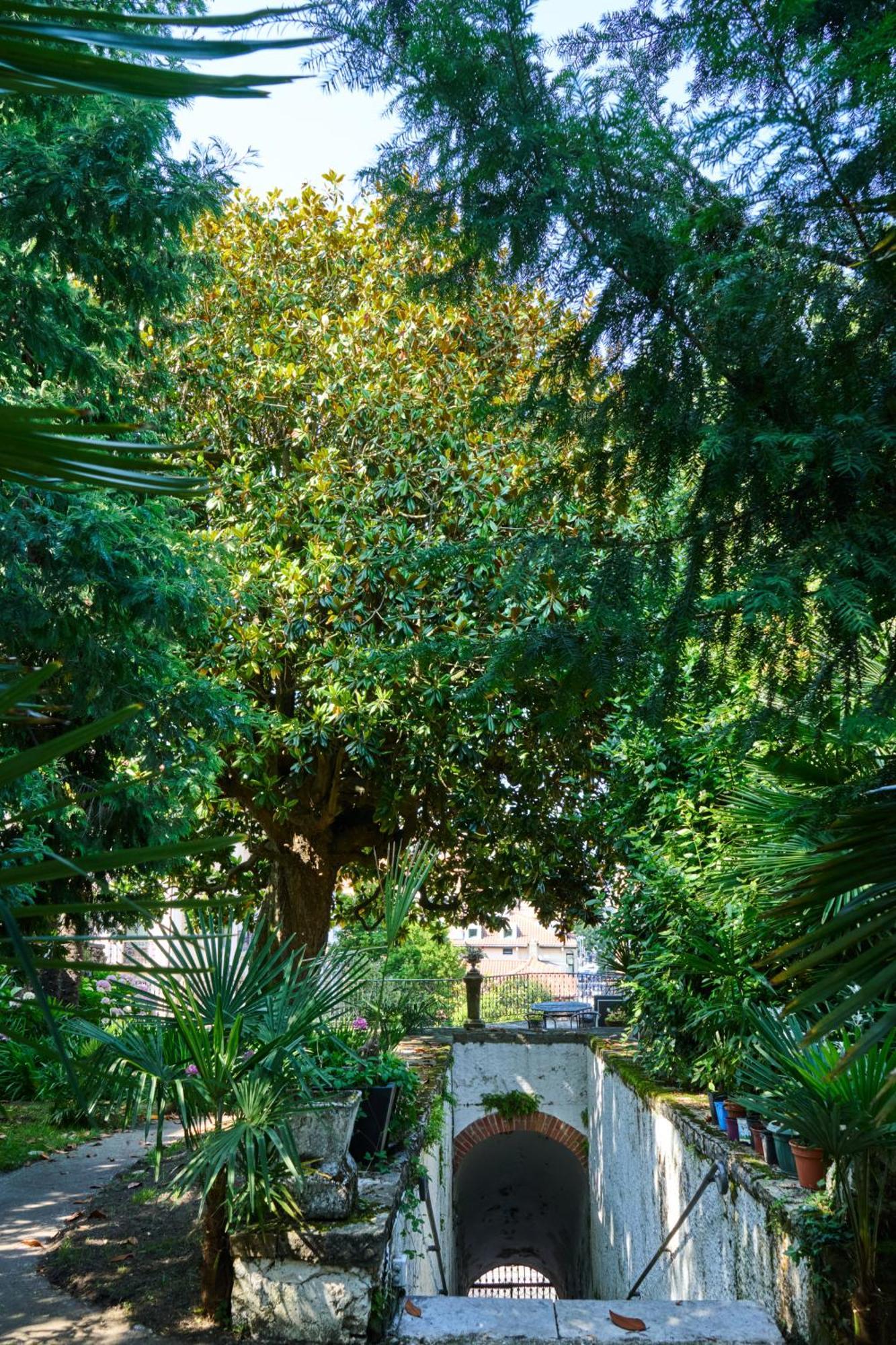 Habitacion Oasis Ιρούν Εξωτερικό φωτογραφία